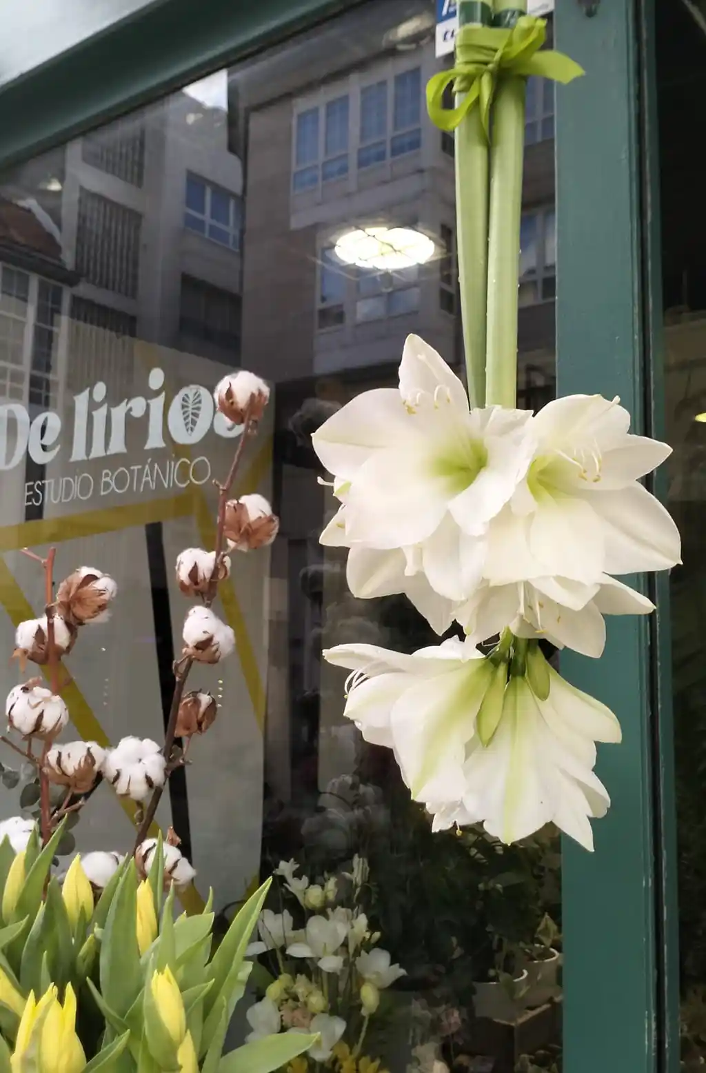 delirios floristeria coruna
