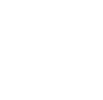 flores frescas