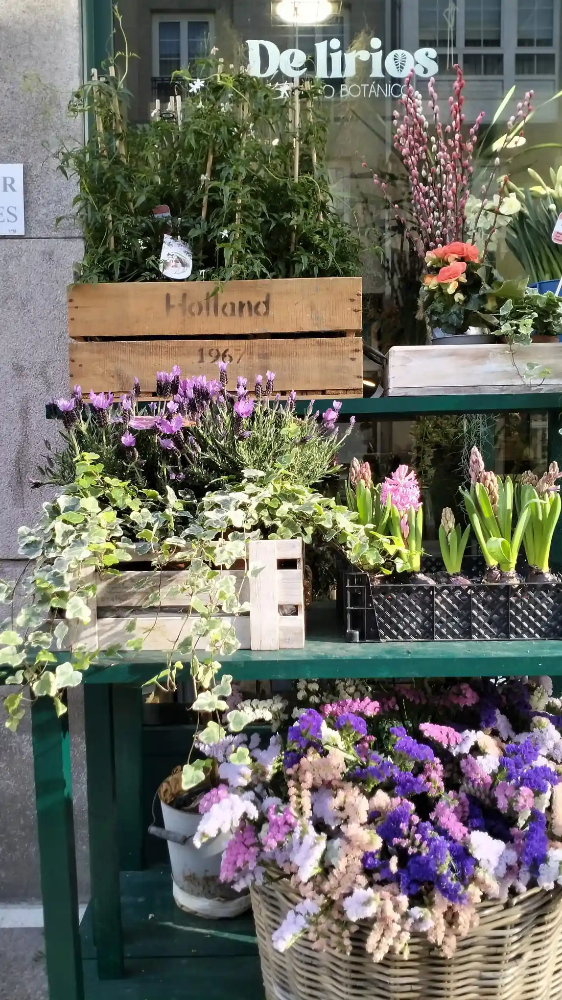floristeria a coruña